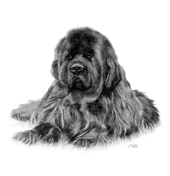 The Newfoundland Miniature Collection (All or Individual)