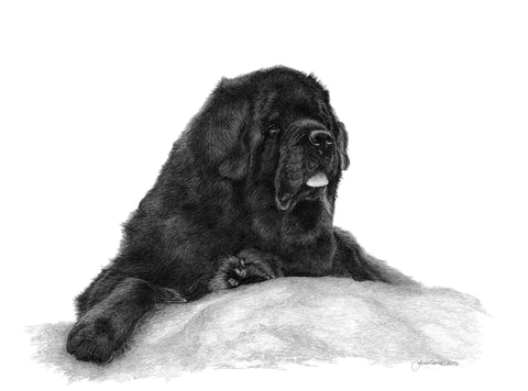"The Lookout" MINIATURE - Newfoundland