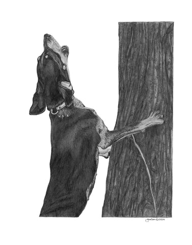 "There's One Up There" Coonhound Miniature