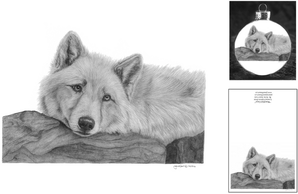 Prints for "Random Act Of Kindness" Supporting Wildlife Sanctuaries "Watchful Gaze" (Wolf)