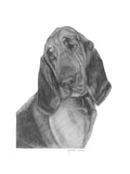 "Waylon" MINIATURE Bloodhound