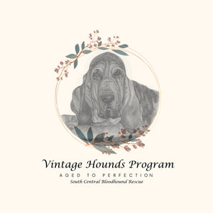 Prints for Supporting our Senior Program at "Vintage Hounds" South Central Bloodhound Rescue