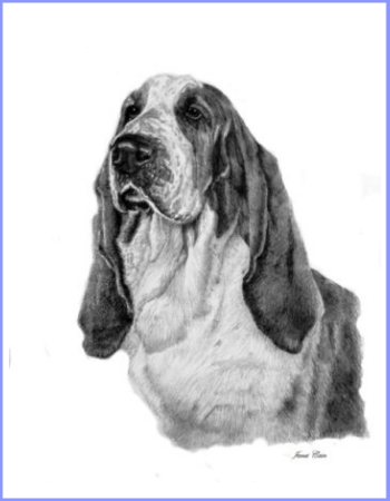 Basset Hound "Miniature" and "Notecard" Supporting Mid-Atlantic Basset Hound Rescue