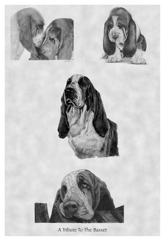 A Tribute To The Basset