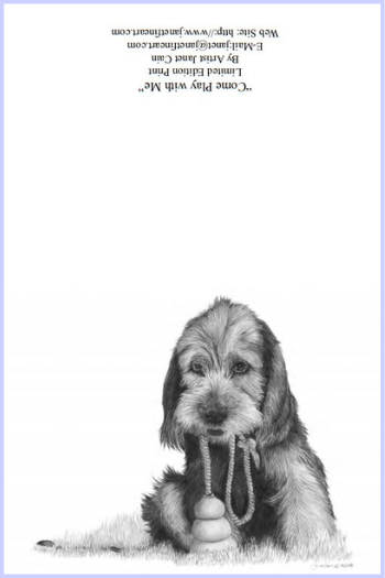 "Come Play With Me" (Otterhound) Note Cards