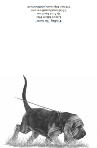 Bloodhound "NOTE CARDS" Supporting West Coast Bloodhound Rescue, Inc.