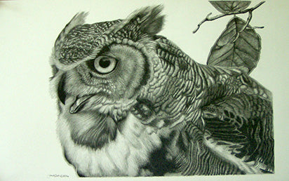 Great Horned Owl (ORIGINAL)
