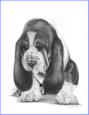 Basset Hound "Miniature" and "Notecard" Supporting Mid-Atlantic Basset Hound Rescue