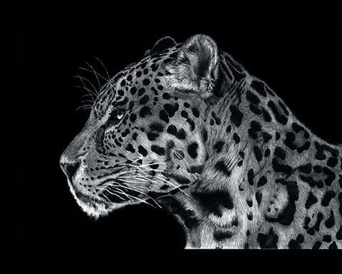 "Jaguar" (ORIGINAL)