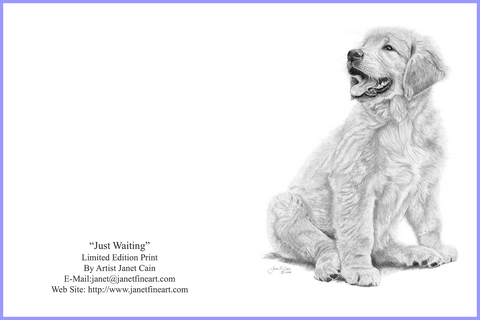"Just Waiting" (Golden Retriever) Note Cards