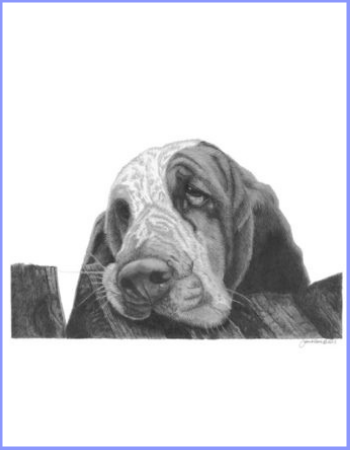 Basset Hound "Miniature" and "Notecard" Supporting Mid-Atlantic Basset Hound Rescue