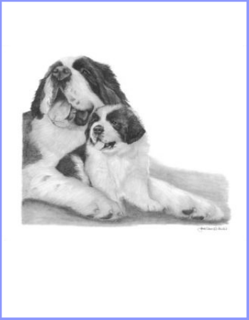 Saint Bernard "Circle of Life" (Adult and Puppy)