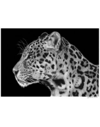 Silent Hunter (Jaguar)