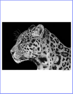 Silent Hunter (Jaguar)