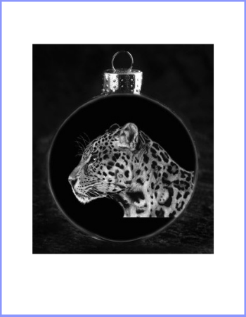 Silent Hunter (Jaguar) (Glass Disc)