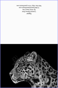 "Silent Hunter" (Jaguar) Note Cards