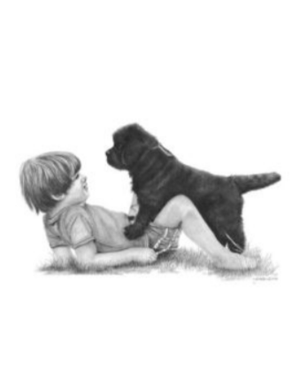 Pop Up Event "Newfoundland and Children" MINIATURES In Support of Newfoundland Rescue
