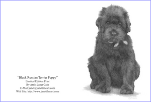"That Look" (Black Russian Terrier) Note Cards