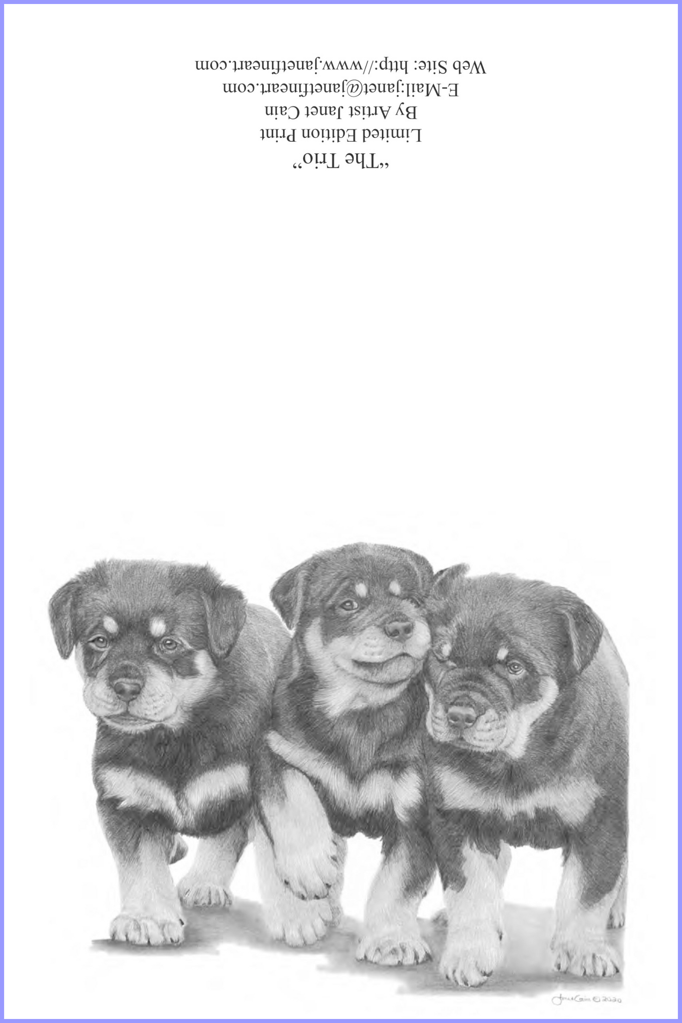 "The Trio" (Rottweiler) Notecards