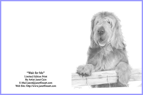 "Wait for Me" (Otterhound) Notecards