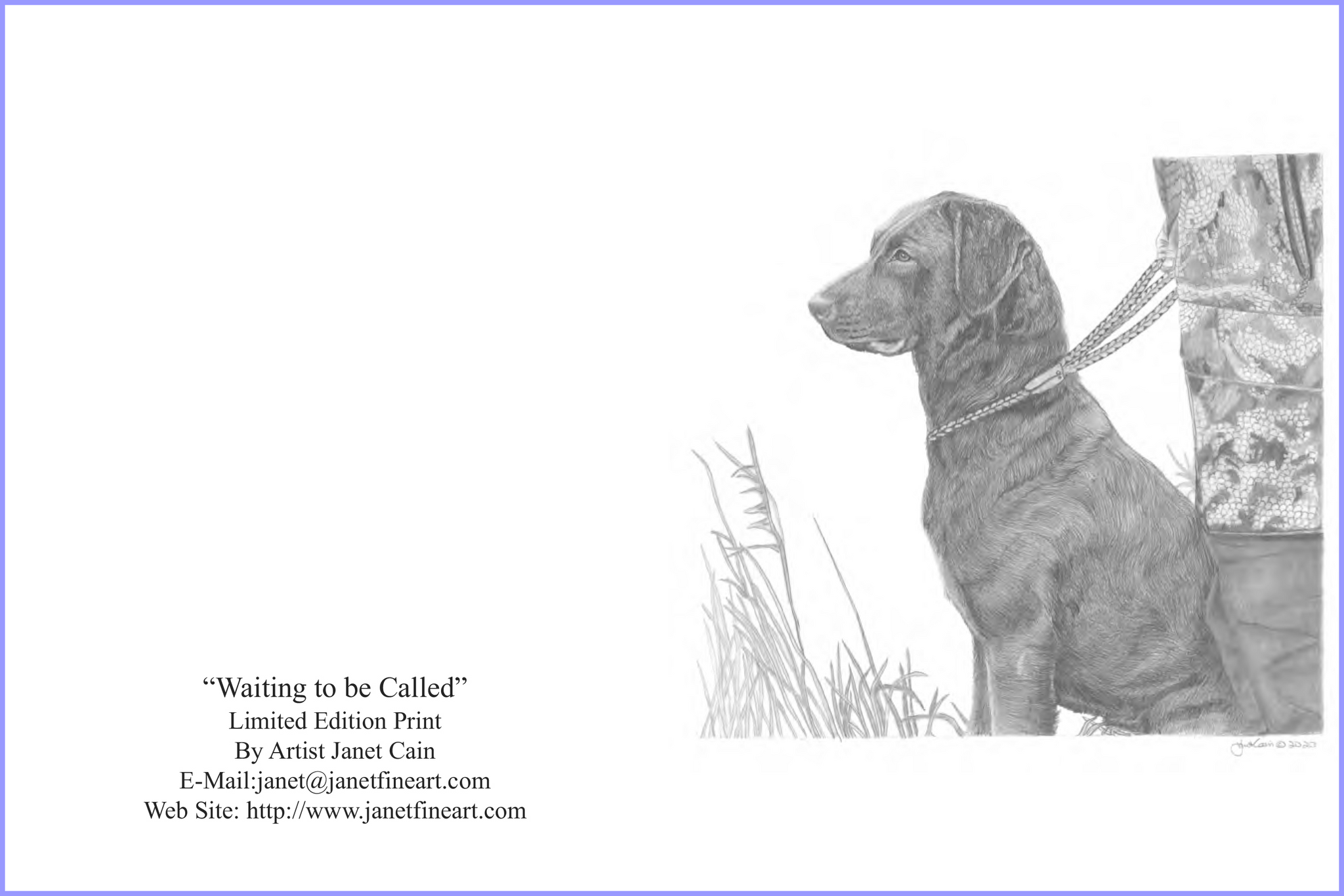 "Waiting to Be Called" (Chesapeake Bay Retriever) Note Cards