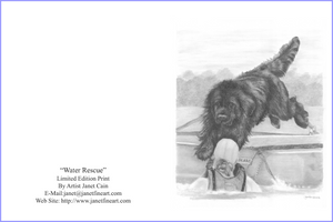 "Water Rescue" (Newfoundland) Notecards