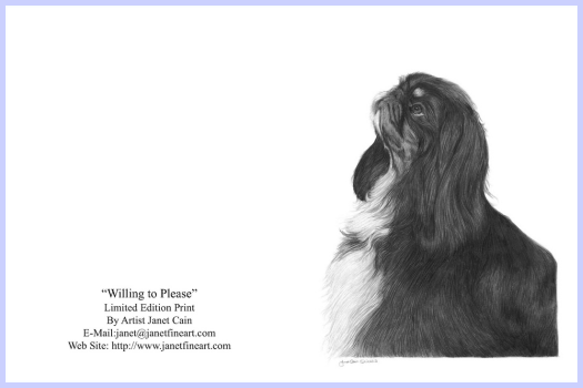 "Willing to Please" English Toy Spaniel (King Charles Spaniel) Note Cards