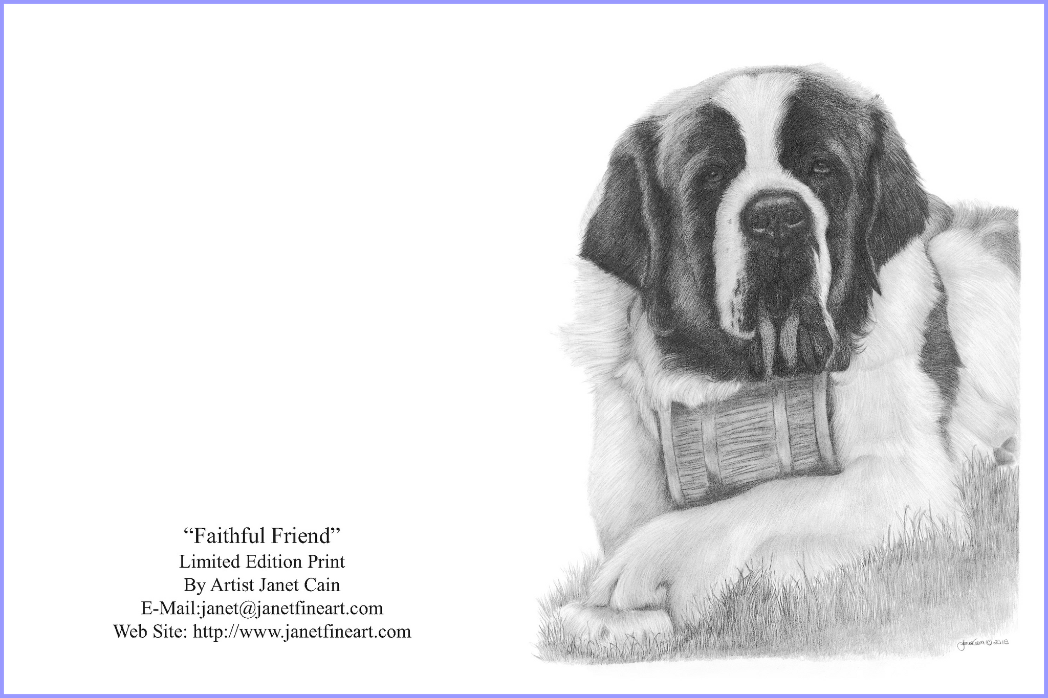 "Faithful Friend" (Saint Bernard) Notecards